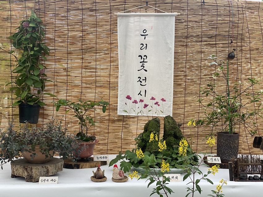 1.예천군, 국화·우리꽃 작품전시회 개최